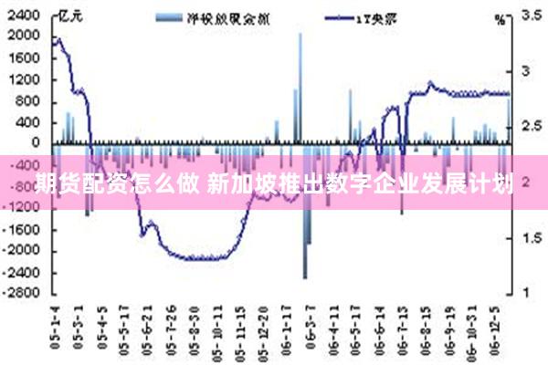 期货配资怎么做 新加坡推出数字企业发展计划