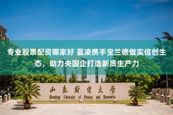 专业股票配资哪家好 蓝凌携手宝兰德做实信创生态，助力央国企打造新质生产力