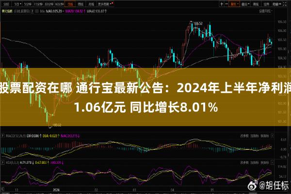 股票配资在哪 通行宝最新公告：2024年上半年净利润1.06亿元 同比增长8.01%