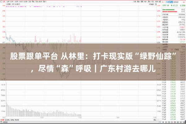 股票跟单平台 从林里：打卡现实版“绿野仙踪”，尽情“森”呼吸｜广东村游去哪儿
