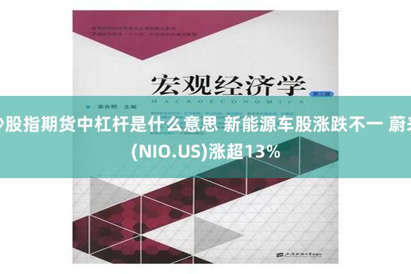 炒股指期货中杠杆是什么意思 新能源车股涨跌不一 蔚来(NIO.US)涨超13%