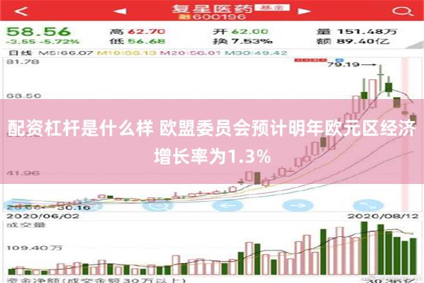 配资杠杆是什么样 欧盟委员会预计明年欧元区经济增长率为1.3%