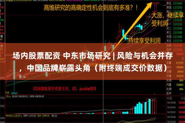 场内股票配资 中东市场研究 | 风险与机会并存，中国品牌崭露头角（附终端成交价数据）