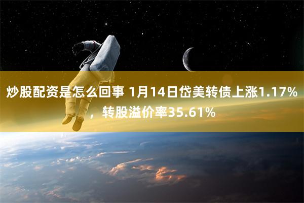 炒股配资是怎么回事 1月14日岱美转债上涨1.17%，转股溢价率35.61%