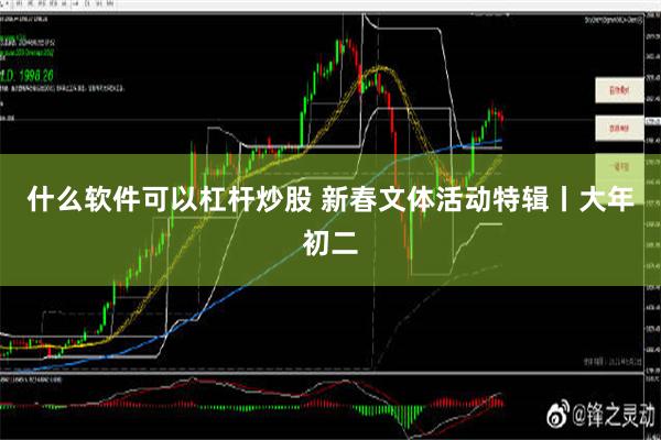 什么软件可以杠杆炒股 新春文体活动特辑丨大年初二