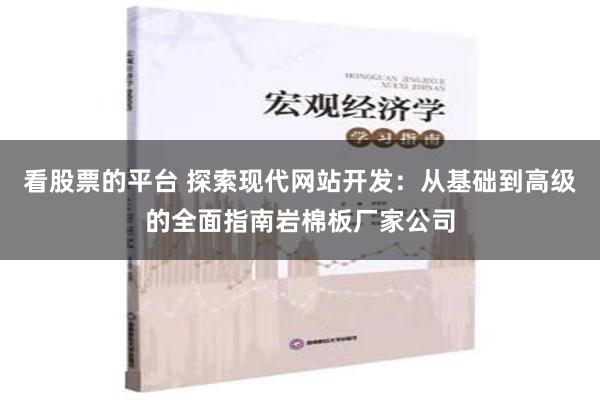 看股票的平台 探索现代网站开发：从基础到高级的全面指南岩棉板厂家公司